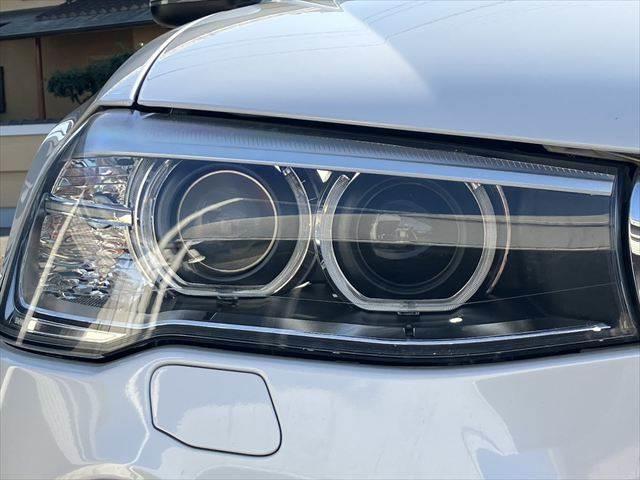 ���w�b�h���C�g