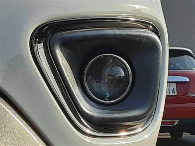 ���t�H�O�����v