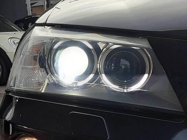 ���_�����w�b�h���C�g