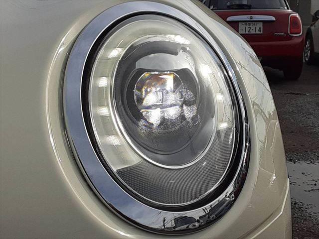 ���_�����w�b�h���C�g