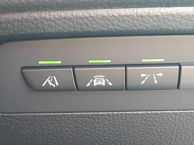 �����[���f�B�p�[�`���[�E�H�[�j���O�@�Փˌy���u���[�L�@���[����E�A���[��