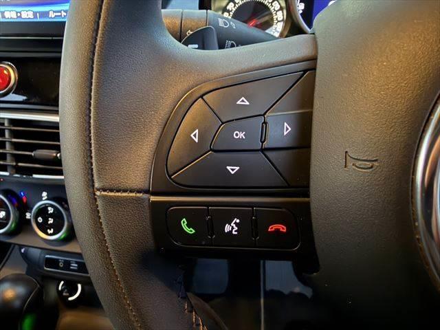 500X ブラックタイ SDナビ フルセグTV ブルーレイ再生 バックカメラ スマートキー 禁煙車 本革シート 衝突軽減ブレーキ Bluetooth レーダークルーズコントロール HIDヘッドライト シートヒーター(34枚目)