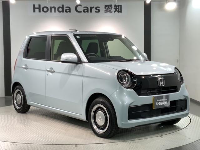 N-ONE オリジナル HSENSING新車保証試乗車ワンオーナー 追突被害軽減ブレーキ 記録簿 オートクルーズコントロール サイドエアバック ETC車載器 ナビ&TV LEDライト USB WAB Bカメラ セキュリティ(52枚目)