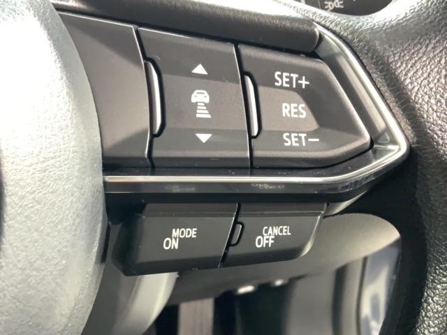 �N���[�Y�R���g���[���𑕔����Ă��܂��B�������H�Ȃǂň��̑��x�ő����Ă����̂ŉ^�]���y�ł���I���x��ݒ�ł��܂��̂ŁA�X�s�[�h�̏o�������ɂ����ӂł��܂��B