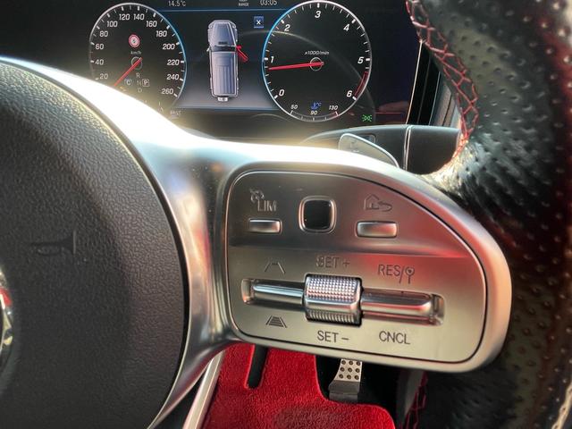 Gクラス G350d AMGライン ラグジュアリーパッケージ アダプティブダンピングサス ブラバススポイラー 22インチAW 各所ブラックアウトパーツ トランクラゲッジボード デジタルミラー 前後ドラレコ ブルスターサウンド ツートン(30枚目)