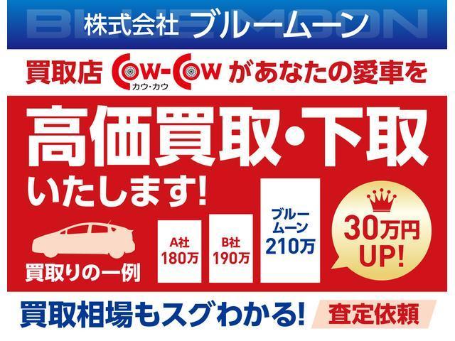 ＲＳ　【３．９％ローン】オプション総額１７３万　ちょいｃａｍ豊　サイドオーニング　ソーラー充電　インバータ１５００Ｗ　１００ＡｈサブＢＴ　リモコン調光照明　ナビＴＶＢカメラ　１０．１型アルパインリアモニター(43枚目)