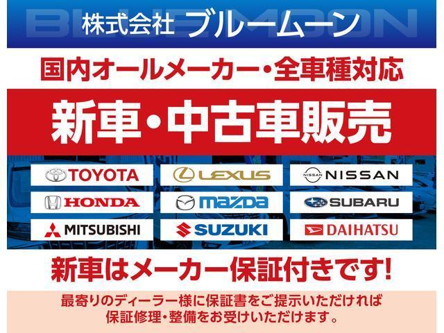 ＲＳ　【３．９％ローン】オプション総額１７３万　ちょいｃａｍ豊　サイドオーニング　ソーラー充電　インバータ１５００Ｗ　１００ＡｈサブＢＴ　リモコン調光照明　ナビＴＶＢカメラ　１０．１型アルパインリアモニター(48枚目)