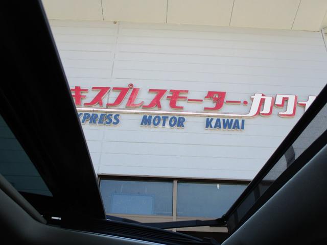 250XV 車高調 22アルミ サンルーフ HDDナビ&TV&バックモニタ&サイドカメラ 革シート(37枚目)