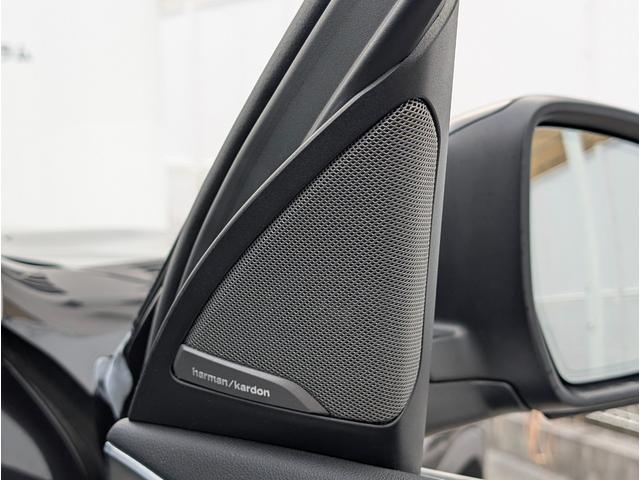 Ｘ３ ｘＤｒｉｖｅ　２０ｄ　Ｘライン　ハイラインパッケージ　ハーマンカードンスピーカ／モカレザーシート／ウッドパネル／純正ナビゲーション／全周囲カメラ／アクティブクルーズコントロール／１９ＡＷ／禁煙（16枚目）