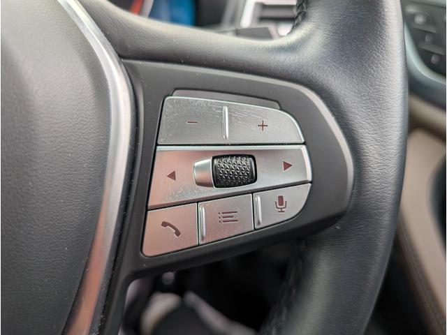 Ｘ３ ｘＤｒｉｖｅ　２０ｄ　Ｘライン　ハイラインパッケージ　ハーマンカードンスピーカ／モカレザーシート／ウッドパネル／純正ナビゲーション／全周囲カメラ／アクティブクルーズコントロール／１９ＡＷ／禁煙（29枚目）