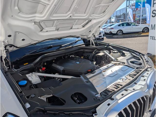 Ｘ３ ｘＤｒｉｖｅ　２０ｄ　Ｍスポーツ　タイヤ４本交換／サウンドパッケージ／モカレザーシート／１９ＡＷ／アクティブクルーズコントロール／純正ナビゲーション／全周囲カメラ／禁煙／ワンオーナー（9枚目）
