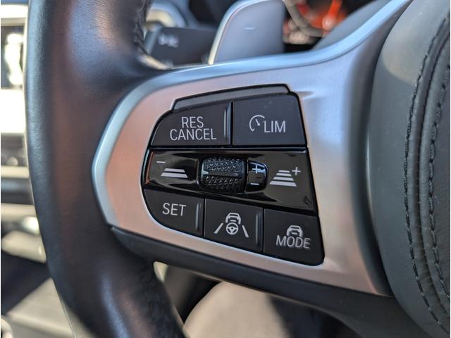 Ｘ３ ｘＤｒｉｖｅ　２０ｄ　Ｍスポーツ　タイヤ４本交換／サウンドパッケージ／モカレザーシート／１９ＡＷ／アクティブクルーズコントロール／純正ナビゲーション／全周囲カメラ／禁煙／ワンオーナー（23枚目）