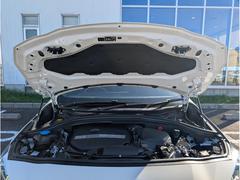 ����Ǽ�־���ޤ��������Τ����ͤ��紿�ޤǤ��������ڤˤ��䤤��碌���������� 7