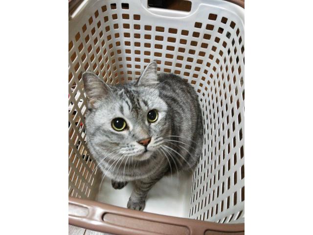 ���x���Ȃ��ݓ��X��Ԃ�@������I���ʂ��Y��ŋ@�ւ��o�b�`���ǍD���V���̕��Ƀs�b�^�����Ǝv���܂���