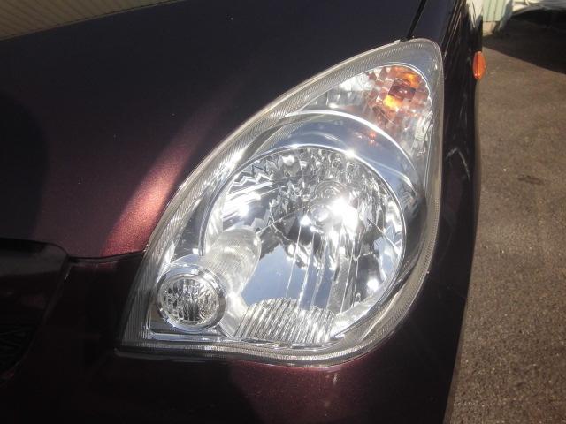 �w�b�h���C�g�����񂲂��Y���