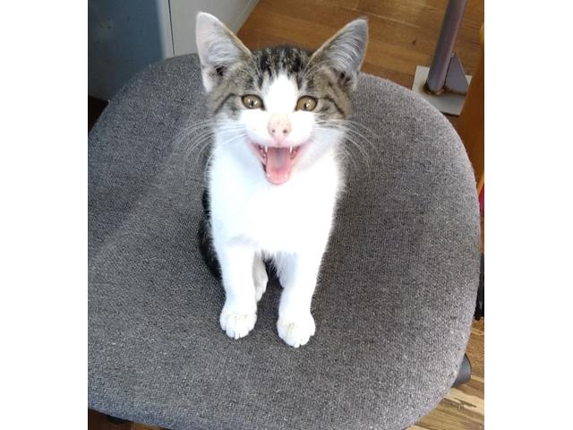 ���s�R�P�O�O�O�L���̂g�Q�T�N�̃t���A�̃}�j���A���T���~�b�V�����I�C�����ƌ����Ă����Ȃ�y�x�Ȃ��̂ň��S���ď���Ē�����ƂĂ����x�̗ǂ�����