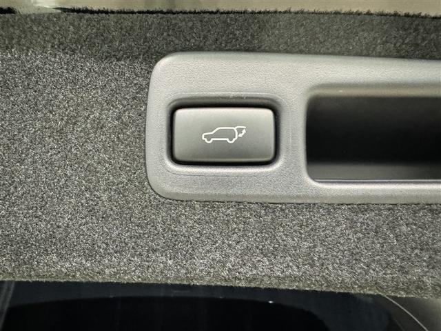 ハリアー プレミアム　メタル　アンド　レザーパッケージ　衝突被害軽減システム　メモリーナビ　フルセグ　バックカメラ　ＥＴＣ　ＣＤ　ミュージックプレイヤー接続可　ＤＶＤ再生　革シート　電動シート　オートクルーズコントロール　ＬＥＤヘッドランプ　スマートキー（33枚目）