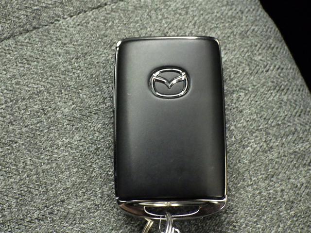 �X�}�[�g�L�[���|�P�b�g��o�b�O�Ɍg�т��Ă���΁A�L�[�����o�����ƂȂ��h�A�n���h������������A�h�A�n���h���̃Z���T�[�ɐG��邾���Ŏ{���ł��܂��B