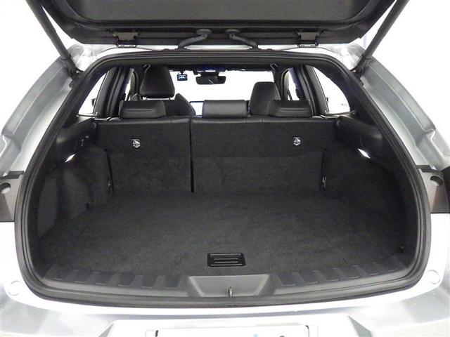 �傫�ȊJ�����̉׎��X�y�[�X�͂ƂĂ��L�X�Ƃ��Ă��܂��B�@�傫�ȉו����y�X���[�o�����Ⴂ�܂���B�@��͏������˂�ƌ����܂����X�y�[�X�͑傫�����ɉz�������͂���܂���ˁB