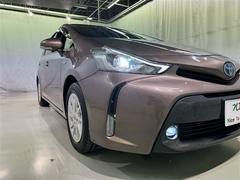 ץꥦ ӡﳲڸƥࡡ꡼ʥӡե륻Хå 0200583A20251105T001 7