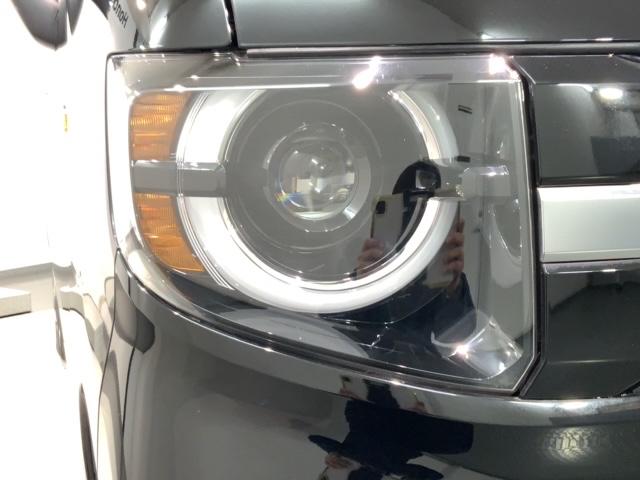 �k�d�c�w�b�h���C�g�́A�_���̏u�Ԃ���ő���ʂ𔭊����A�ˑR�Â��Ȃ�g���l���Ȃǂł̈��芴�����߂܂��B