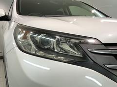 �ǥ������㡼���إåɥ饤����ܤǤ��ä������뤯�Ȥ餷�Ƥ����Τǡ�������Ԥ��Դ����ƻ�Ǥ�¿��Ǥ��� 6