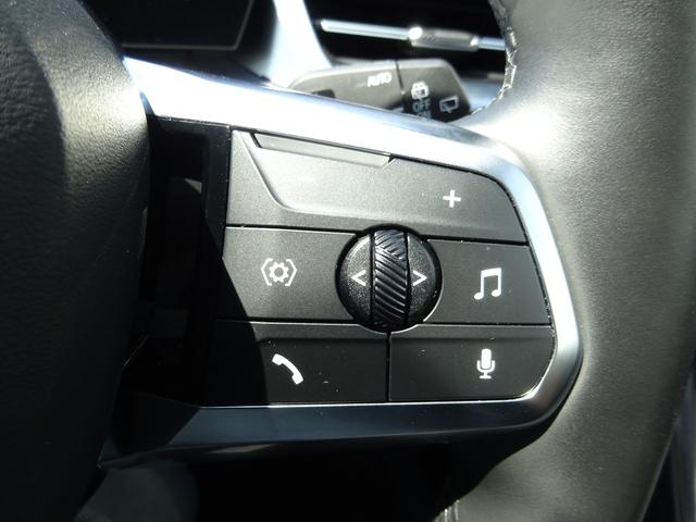 iX1 xDrive 30 Mスポーツ パノラマサンルーフ 19AW 全周囲カメラ 前車追従システム LEDヘッドライト 電動テールゲート シートヒーター ワンオーナー 禁煙車 2年保証(32枚目)