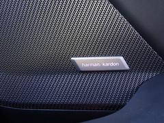 �����꡼�� �������䥰��󥯡��ڡ��ͥ��ݡ��ġ����ҥǥ⥫�����ϥ��饤��ѥå��������֥�å��쥶�������� 0200598A30251124W002 7