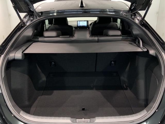 シビック EX HSENSING 最長5年保証 ワンオーナー 純正ナビ TV Rカメラ BTオーディオ ドラレコ ETC LEDライト VSA シ-トヒ-タ- クルコン アルミ スマ-トキ- 盗難防止装置 シートH(30枚目)