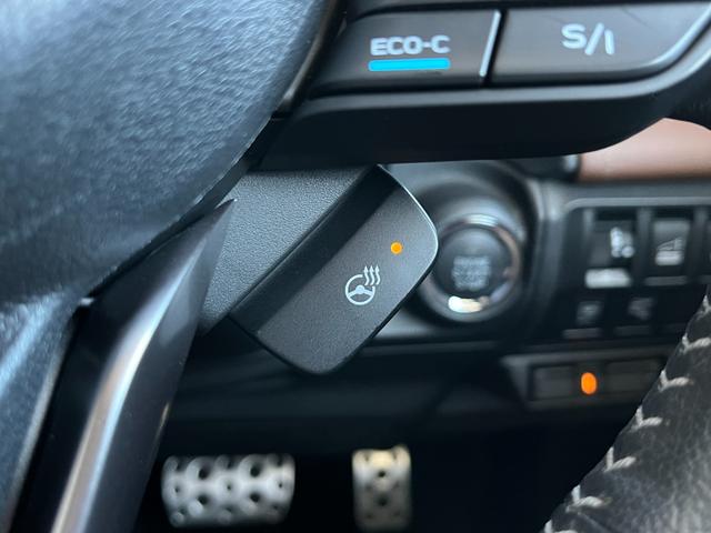 フォレスター アドバンス　フリップダウンモニター　ブラウンレザー　８インチダイアトーンナビ　フルセグＴＶ　バックカメラ　デジタルインナーミラー　レーダークルーズ　ドラレコ前後　前席パワーシート　電動リアゲート　ＥＴＣ２．０（24枚目）