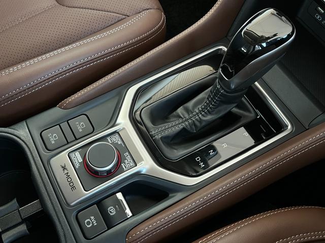 フォレスター アドバンス　フリップダウンモニター　ブラウンレザー　８インチダイアトーンナビ　フルセグＴＶ　バックカメラ　デジタルインナーミラー　レーダークルーズ　ドラレコ前後　前席パワーシート　電動リアゲート　ＥＴＣ２．０（31枚目）