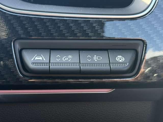 アルカナ R.Sライン マイルドハイブリッド 当社社用車・パドルシフト 衝突軽減B 車線逸脱警告 LED 360°カメラ スマートキー オートクルーズコントロール ETC アルミホイール アイドリングストップ キーレスエントリー ワンオーナー(15枚目)