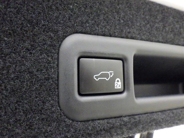 ＲＸ ＲＸ３００　Ｆスポーツ　革シート　サンルーフ　フルセグ　メモリーナビ　ＤＶＤ再生　ミュージックプレイヤー接続可　バックカメラ　衝突被害軽減システム　ＥＴＣ　ＬＥＤヘッドランプ　アイドリングストップ（33枚目）