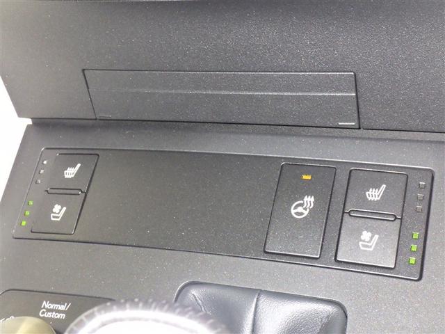 ＲＣ ＲＣ３００　Ｆスポーツ　革シート　サンルーフ　フルセグ　メモリーナビ　ＤＶＤ再生　ミュージックプレイヤー接続可　バックカメラ　衝突被害軽減システム　ＥＴＣ　ＬＥＤヘッドランプ　アイドリングストップ（14枚目）