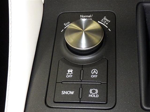 ＲＣ ＲＣ３００　Ｆスポーツ　革シート　サンルーフ　フルセグ　メモリーナビ　ＤＶＤ再生　ミュージックプレイヤー接続可　バックカメラ　衝突被害軽減システム　ＥＴＣ　ＬＥＤヘッドランプ　アイドリングストップ（15枚目）