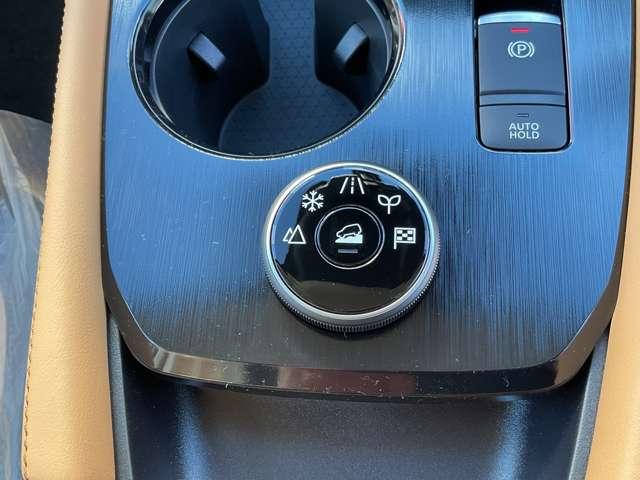 エクストレイル １．５　Ｇ　ｅ－４ＯＲＣＥ　４ＷＤ　※雹害未使用車　日産コネクトナビ　ＬＥＤヘット　地デジＴＶ　本革　オートマチックハイビーム　メモリーナビゲーション　シートヒーター　ＡＷ　レーンキープ　ＡＡＣ　サイドカメラ　ＥＴＣ　エアＢ　４ＷＤ（14枚目）