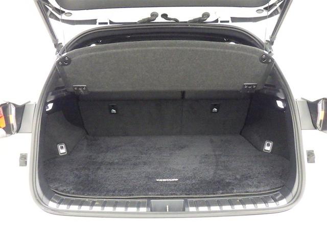 ＮＸ ＮＸ３００ｈ　Ｆスポーツ　衝突被害軽減システム　メモリーナビ　フルセグ　バックカメラ　ＥＴＣ　ドラレコ　ＣＤ　ミュージックプレイヤー接続可　ＤＶＤ再生　革シート　電動シート　オートクルーズコントロール　ＬＥＤヘッドランプ（32枚目）