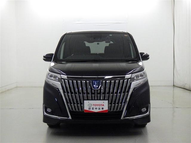 �G�X�N�@�C�A���ɂ������܂����I�����I�ȃt�����g�O�������������������o�����ł��B