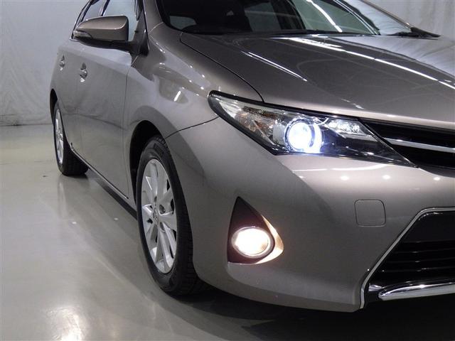 �t�H�O�����v�����Ԃł��B�Â��铹�̎ԗ��O���𖾂邭�Ƃ炵�܂�