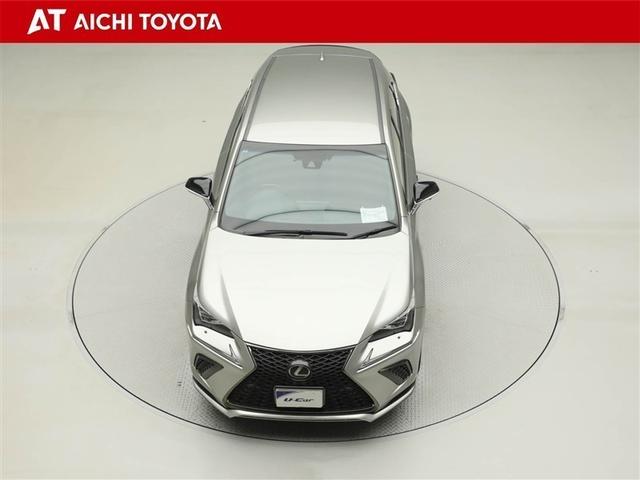 NX NX300 Fスポーツ 衝突回避システム 革 キーレス 1オーナ 地デジ インテリキー オートエアコン バックモニター ナビ&TV 横滑り防止機能 盗難防止装置 ABS LEDライト クルーズコントロール Pシート DVD(17枚目)