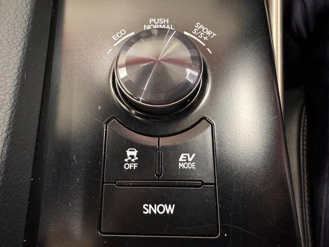 ＩＳ ＩＳ３００ｈ　Ｆスポーツ　サンルーフ　ＢＳＭ　純正ナビ　ＥＴＣ　バックカメラ　クリアランスソナー　レーンアシスト　クルーズコントロール　シートヒーターベンチレーション　ステアリングヒーター　パワーシート　純正１８インチＡＷ（65枚目）