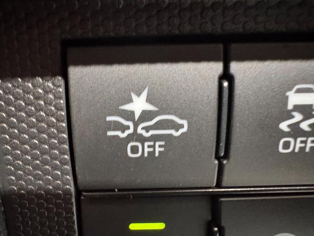 タフト Ｇ　ガラスルーフ　９インチフローティングナビ　アラウンドビューモニター　シートヒーター　ＥＴＣ　レーンアシスト　衝突軽減ブレーキ　Ｐセンサー　アイドリングストップ　ＵＳＢ　ＬＥＤヘッドライト　横滑り防止（19枚目）