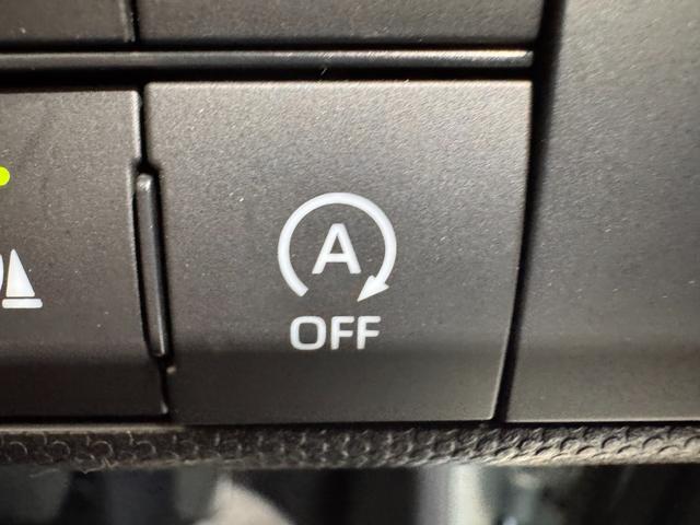 タフト Ｇ　ガラスルーフ　９インチフローティングナビ　アラウンドビューモニター　シートヒーター　ＥＴＣ　レーンアシスト　衝突軽減ブレーキ　Ｐセンサー　アイドリングストップ　ＵＳＢ　ＬＥＤヘッドライト　横滑り防止（59枚目）