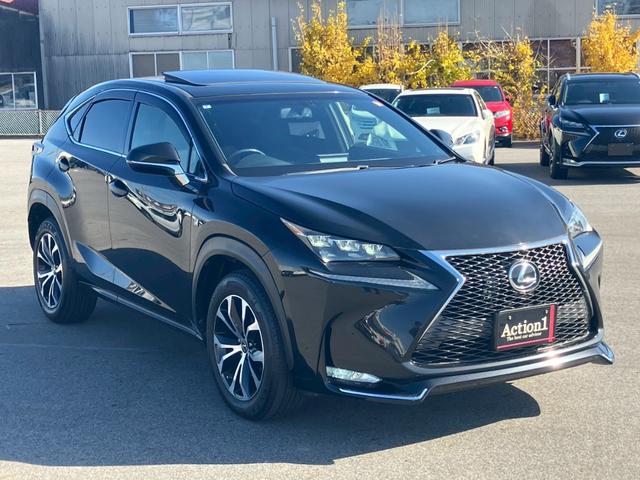 NX NX200t Fスポーツ サンルーフ 黒レザー パワーバックドア シートヒーター/クーラー 3眼LEDヘッド クルーズコントロール コーナーセンサー パワーシート バックカメラ サイドカメラ USB ETC 純正18インチAW(40枚目)