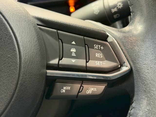 �y���[�_�[�N���[�Y�R���g���[���z�������H�ł̒��������s���y�ɁI�I�����ő��x��ۂN���[�Y�R���g���[�����A�Փˌy���V�X�e���ƘA�g���A�O���̎ԗ������m���ĎԊԂ�ۂ悤�ɑ��x���߂��Ă���܂��I�I