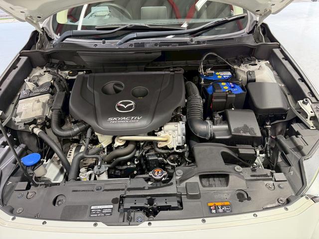 �e��I�[�g���[�������p�ӂ��Ă���܂��B�����O�~����R���\�B�P�Q�񂩂�P�Q�O��܂ł��x���񐔂����I�ђ����܂��B���ÎԂ���V�Ԃ��ׂĂɂ����p�����܂��B���C�y�ɃX�^�b�t�ւ����k���������B