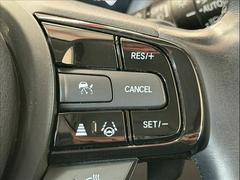 �ڥ졼�������롼������ȥ�����۹�®ƻϩ�Ǥ�Ĺ��Υ���Ԥ��ڤˡ�����ư��®�٤��ݤĥ��롼������ȥ����뤬�����ͷڸ������ƥ��Ϣ�Ȥ��������μ�ξ���Τ��Ƽִ֤��ݤĤ褦��®��Ĵ�ᤷ�Ƥ���ޤ����� 5