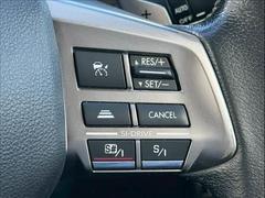 �ڥ졼�������롼������ȥ�����۹�®ƻϩ�Ǥ�Ĺ��Υ���Ԥ��ڤˡ�����ư��®�٤��ݤĥ��롼������ȥ����뤬�����ͷڸ������ƥ��Ϣ�Ȥ��������μ�ξ���Τ��Ƽִ֤��ݤĤ褦��®��Ĵ�ᤷ�Ƥ���ޤ����� 5