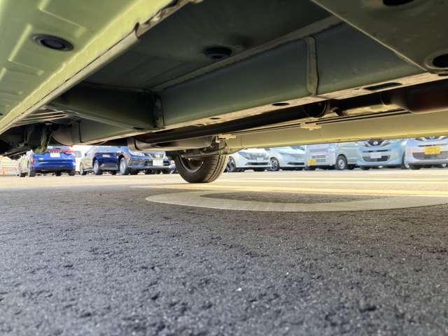 �����̂��ʐ^����������������