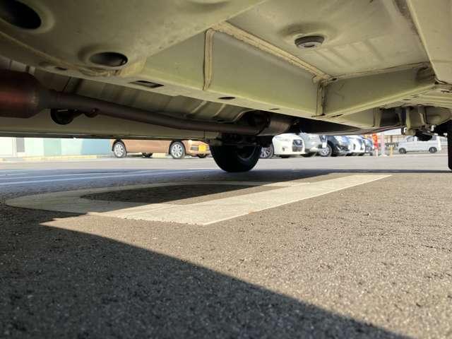 �����̂��ʐ^����������������